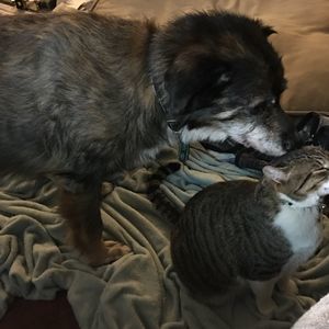 Meet your Posher, Tara